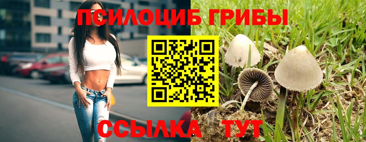 Псилоцибиновые грибы Cubensis  Вход с VPN  Галлюциногенные грибы Cubensis  Моздок 